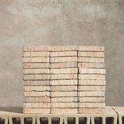 Original Water-Struck Bricks gallery detail image