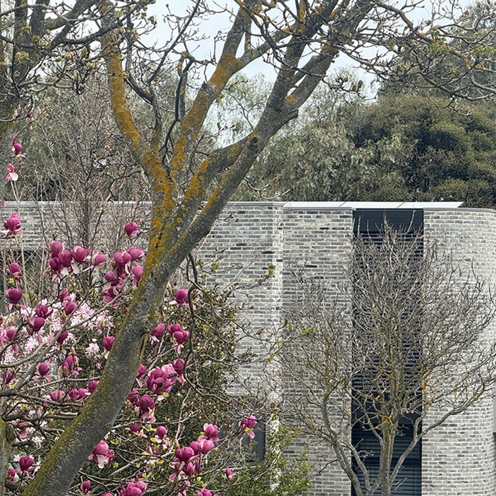 Prague Greys - Reclaimed Bricks gallery detail image