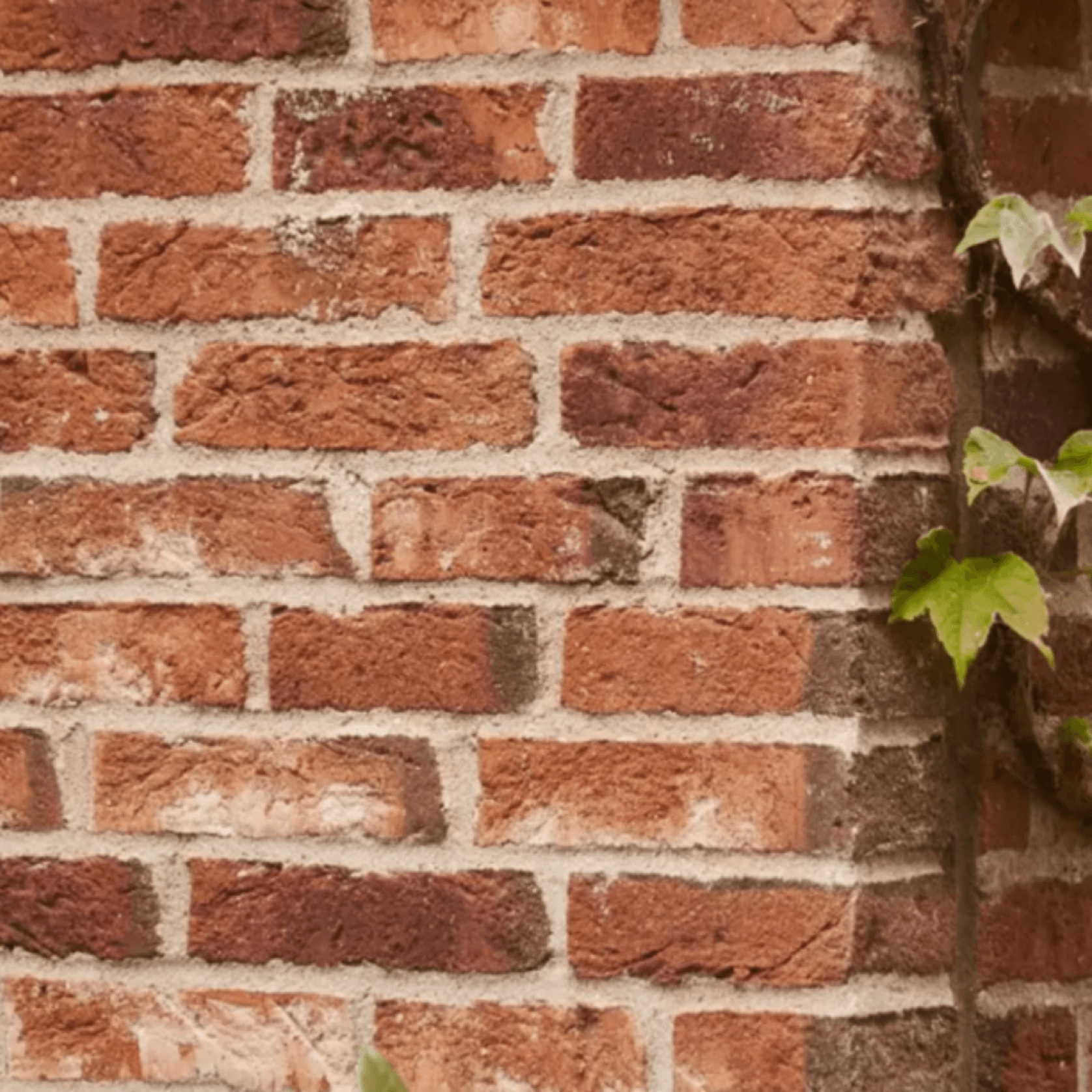 Red Shade | Bricks gallery detail image