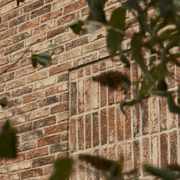 Safari | Bricks gallery detail image