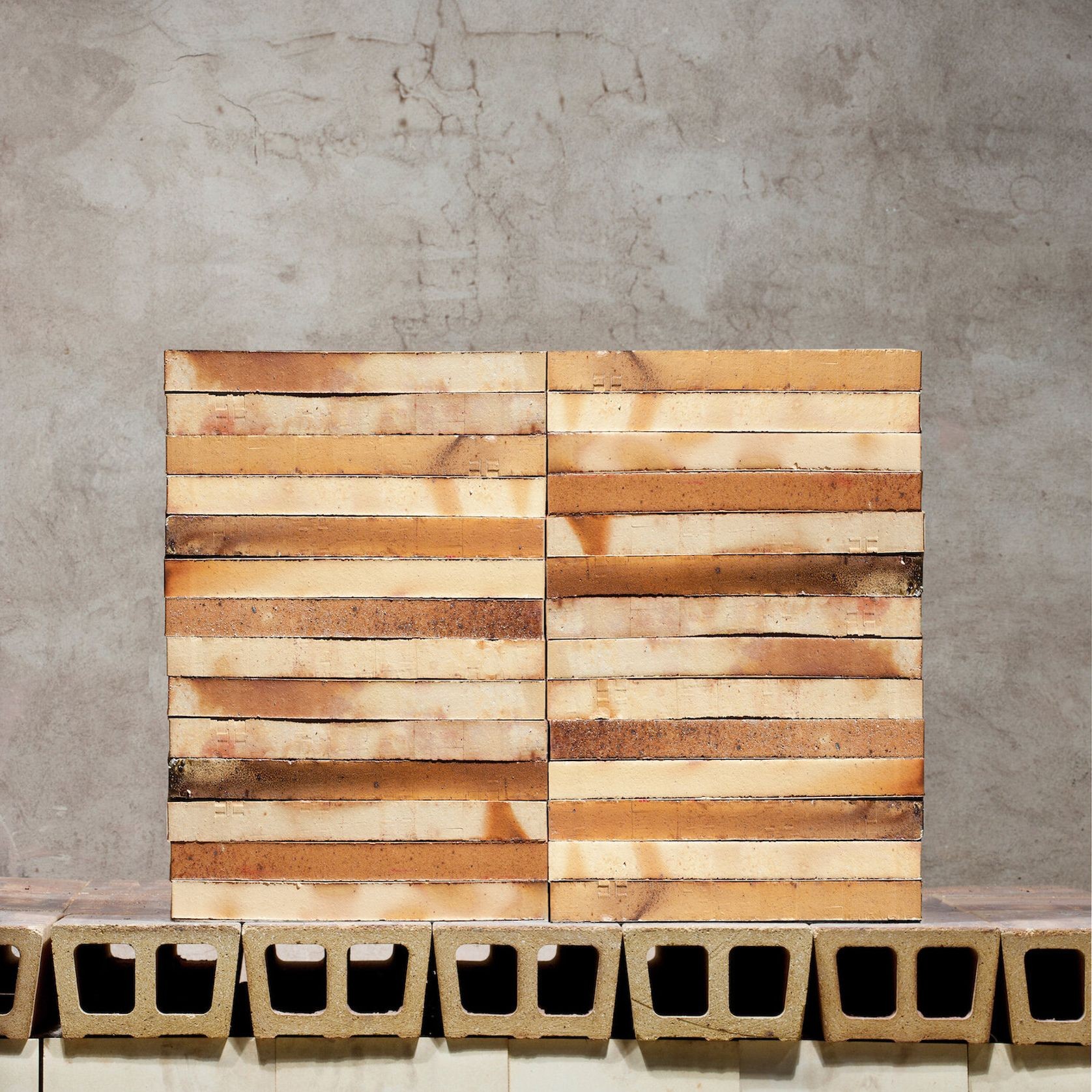 Extruded Clinker Bricks gallery detail image