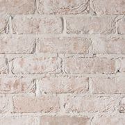 Thin Tech Plus Limewash Facing Unit gallery detail image