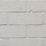 Wirecut Painter Brick gallery detail image