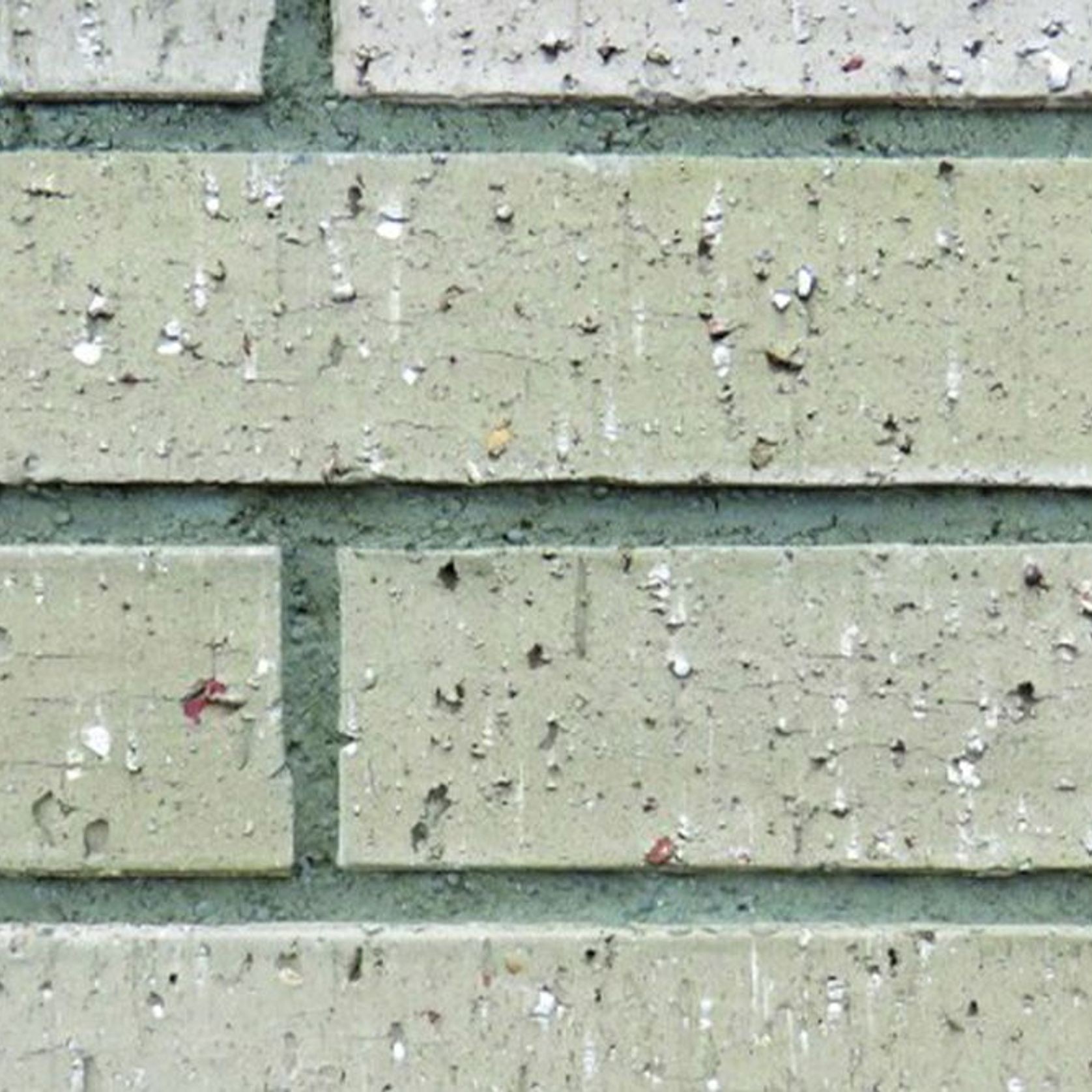 Rotoiti Romans Brick gallery detail image