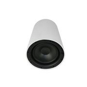 Origin PPSUB8W WHITE 2 Way 70/100v Line Pendant Subwoofer gallery detail image