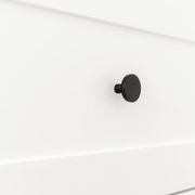 Elsa Cabinetry Knob gallery detail image