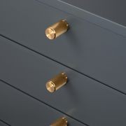 Buster and Punch Cabinet Knurled Furniture Knob gallery detail image