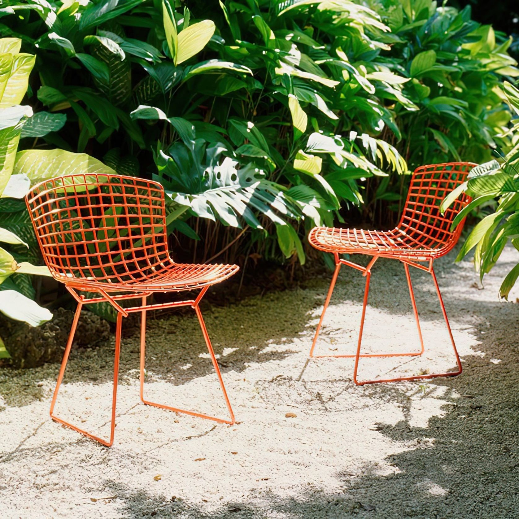 Bertoia Side Chair gallery detail image