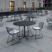 Bertoia Side Chair gallery detail image