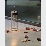 In Vitro Unplugged gallery detail image
