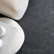 Econa ECONYL® 100% Recycled Nylon Yarn Carpet NZ Made gallery detail image
