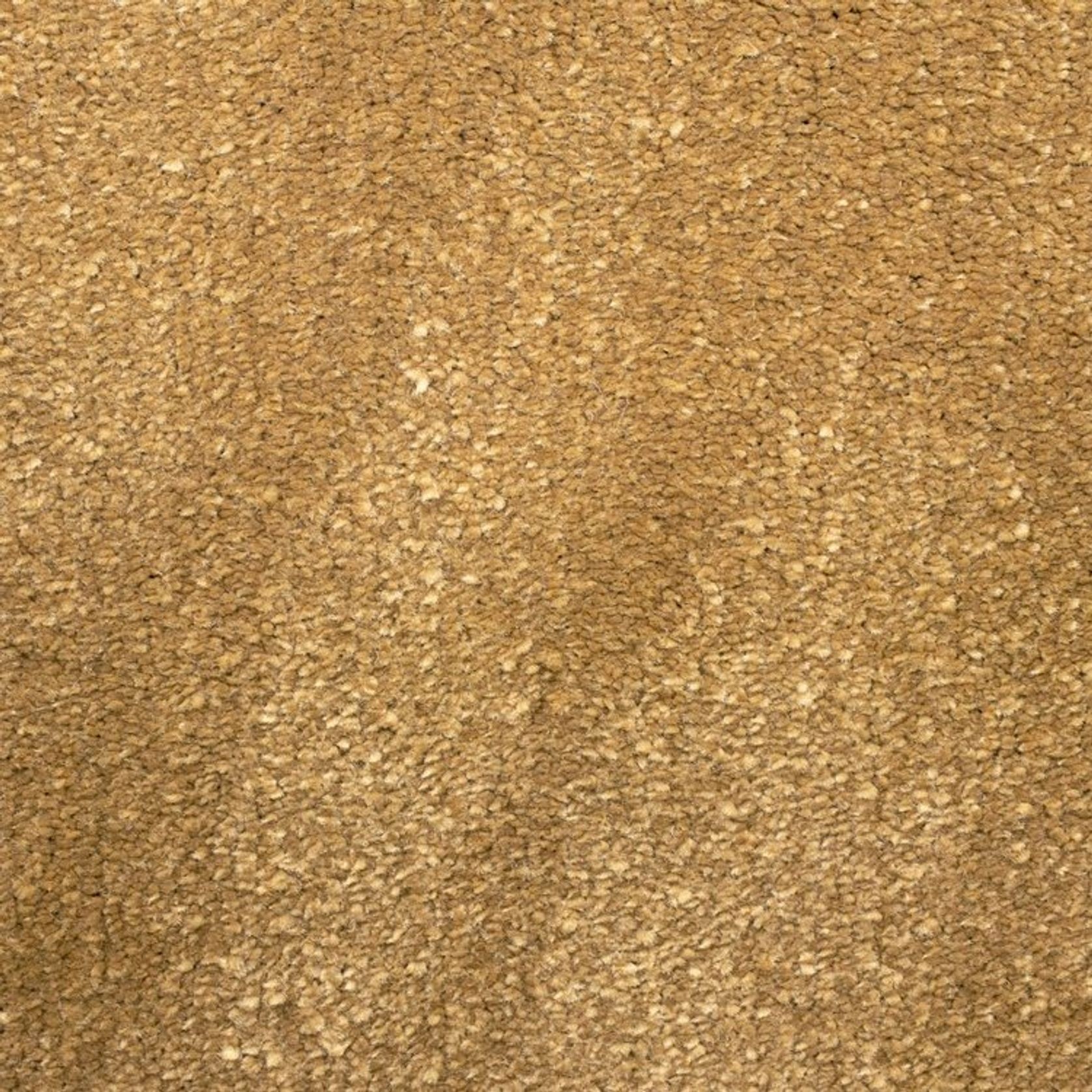 2611 gallery detail image