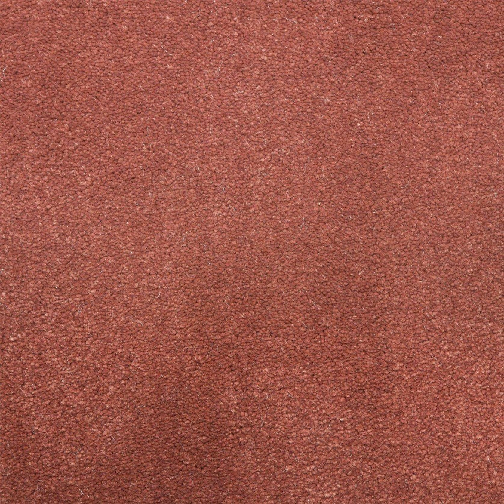 2613 gallery detail image