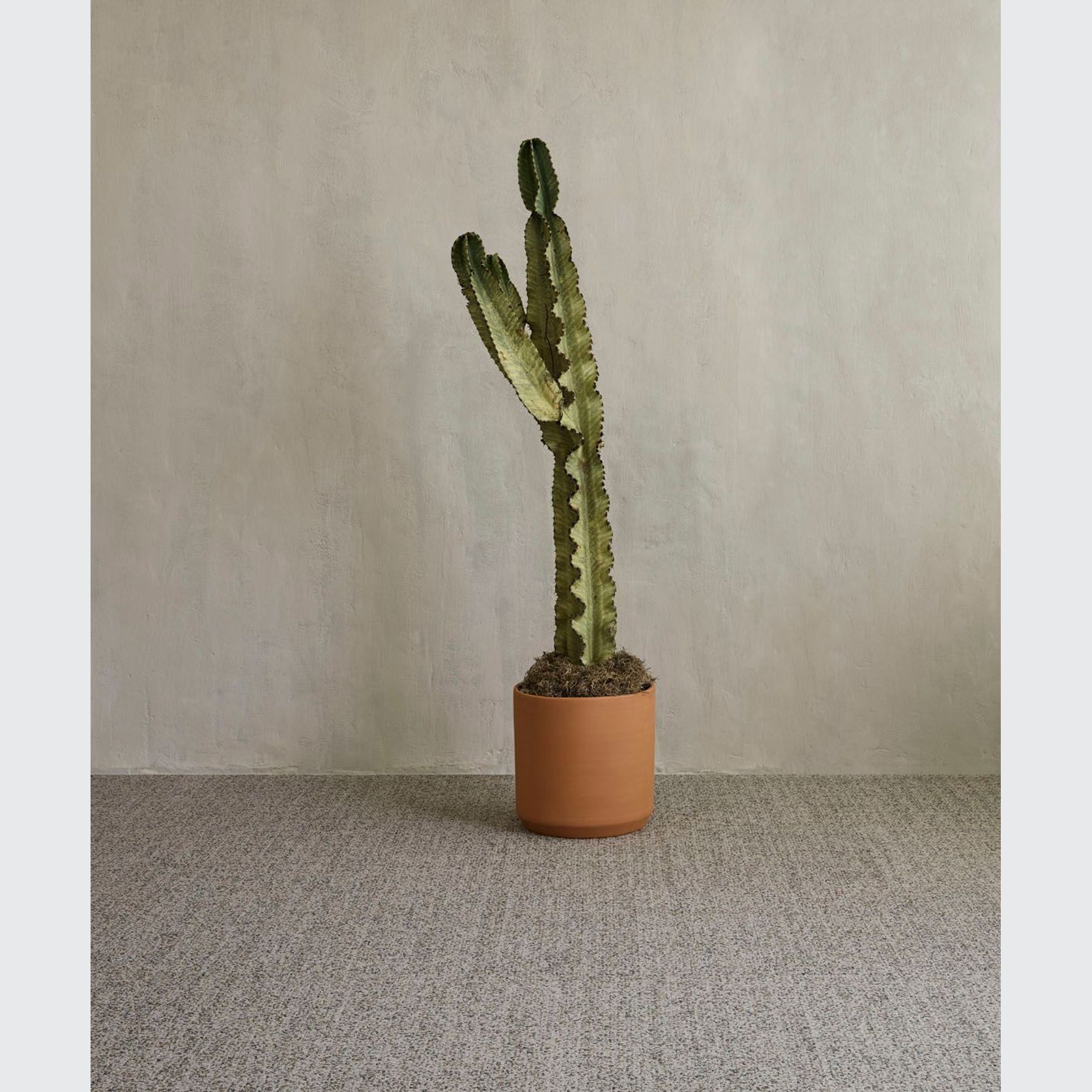 Chronologies - Pacific Standard Time Carpet Collection gallery detail image