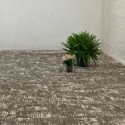 The Screen Door carpet collection by Bentley Mills gallery detail image