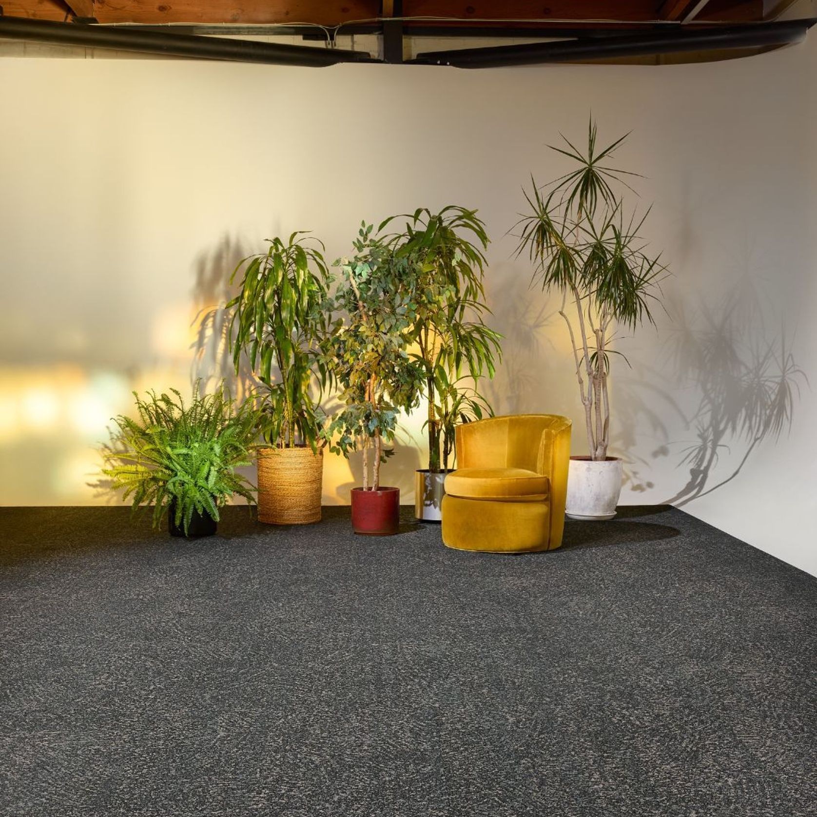 Light Catcher Carpet Collection by Bentley Mills gallery detail image