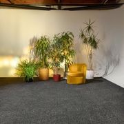 Light Catcher Carpet Collection by Bentley Mills gallery detail image