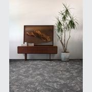 Light Catcher Carpet Collection by Bentley Mills gallery detail image