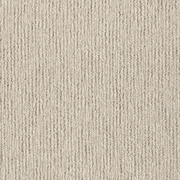 Sandune gallery detail image