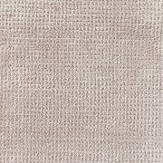 Arani gallery detail image