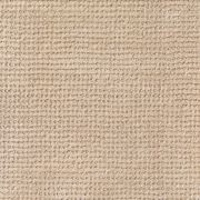 Arani gallery detail image