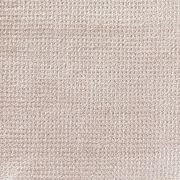 Arani gallery detail image
