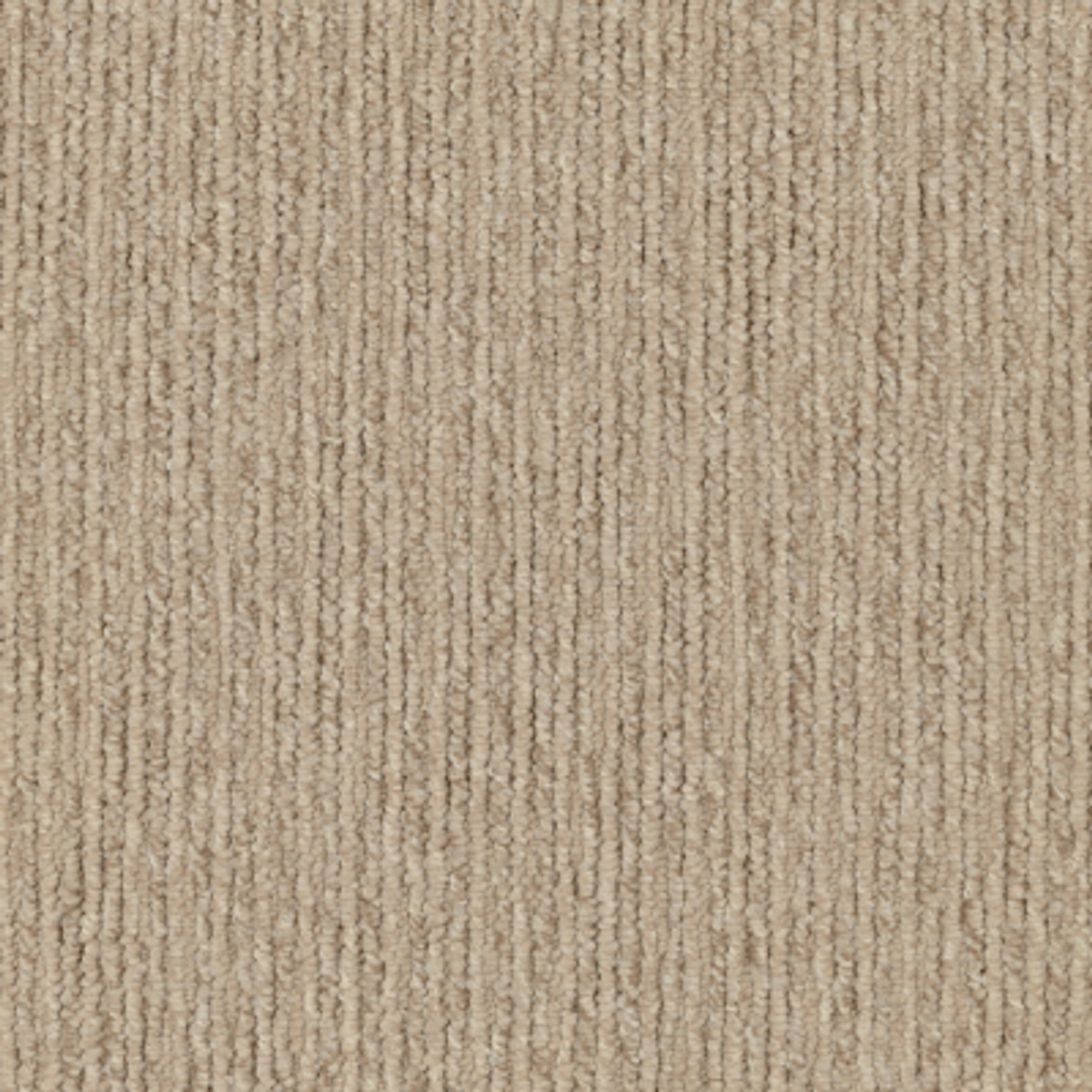Sandune gallery detail image