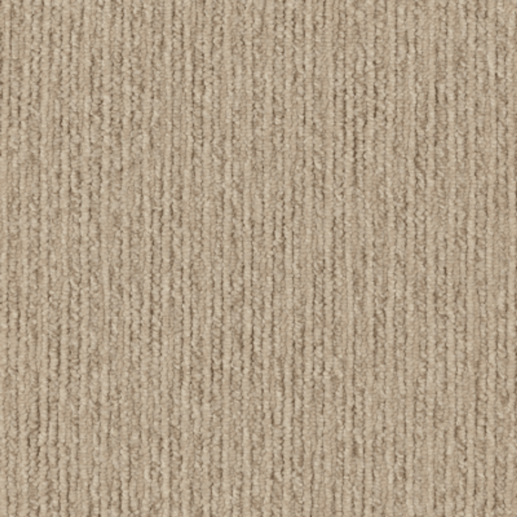 Sandune gallery detail image