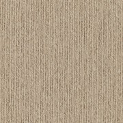 Sandune gallery detail image