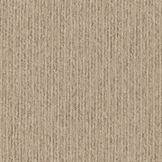 Sandune gallery detail image