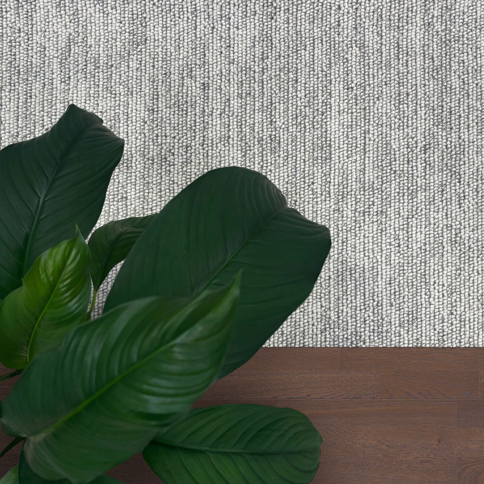 Belleville | Premium Wool gallery detail image