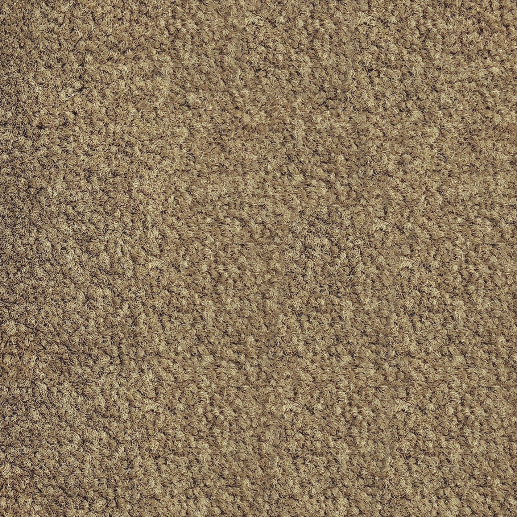 Forest Grove by Belgotex | Carpet gallery detail image