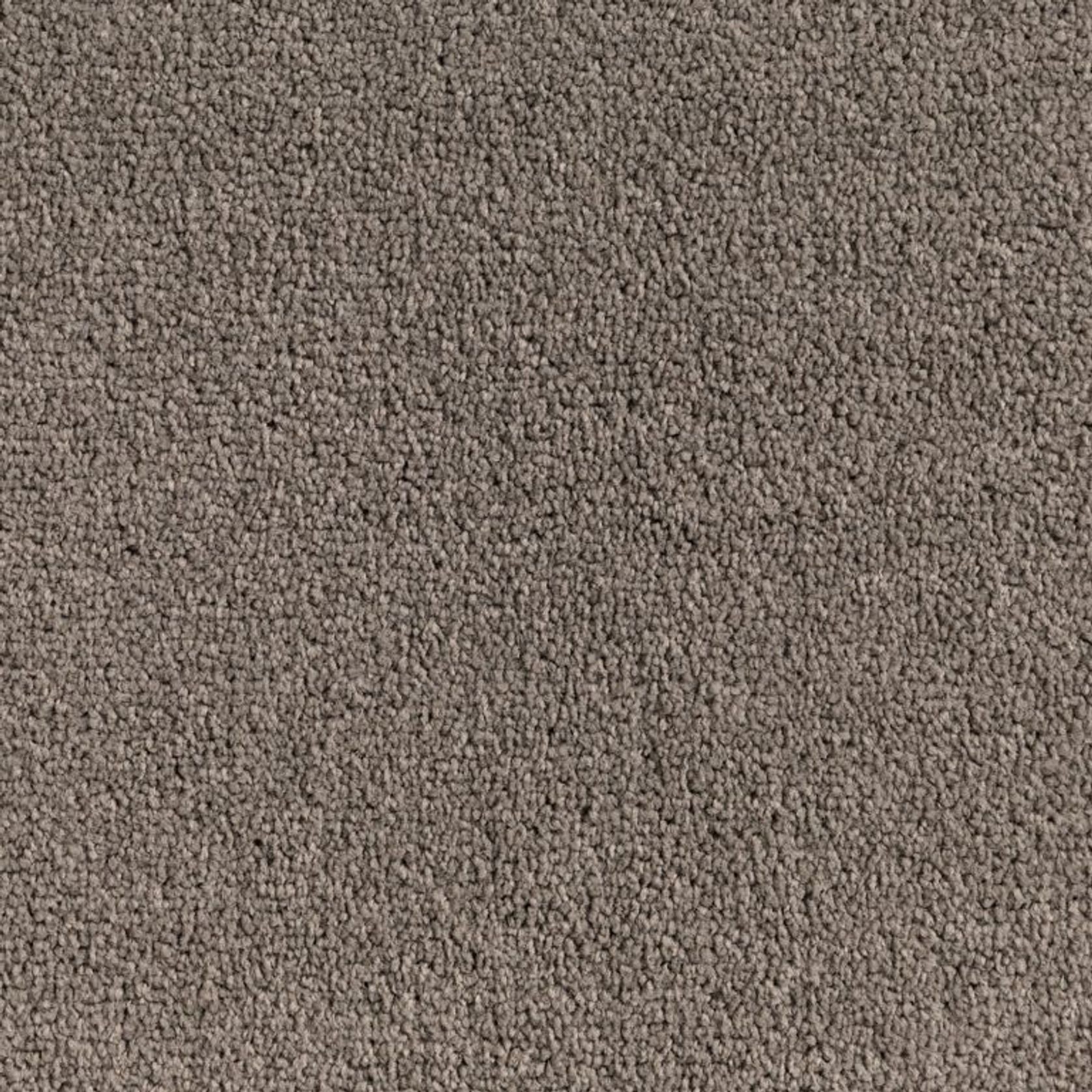 Castle Bay gallery detail image