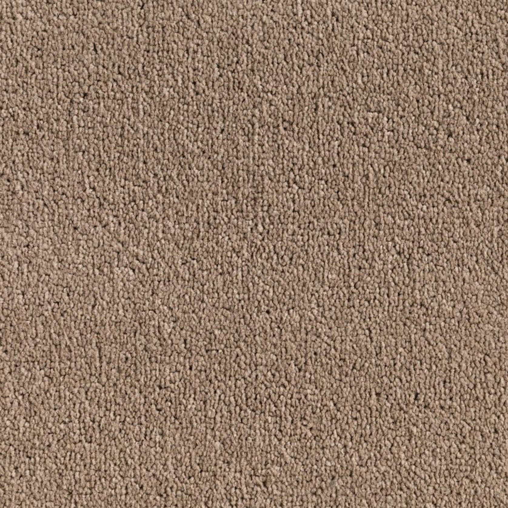 Castle Bay gallery detail image
