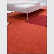 Cambridge& Cut Pile Carpet Tiles by modulyss gallery detail image