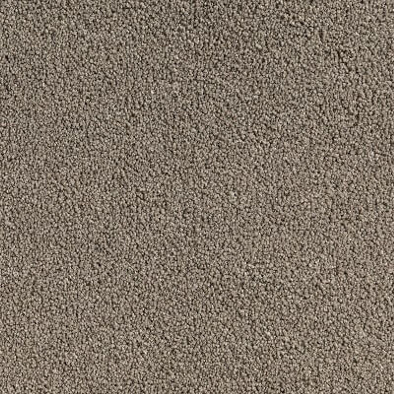 Midas Touch gallery detail image