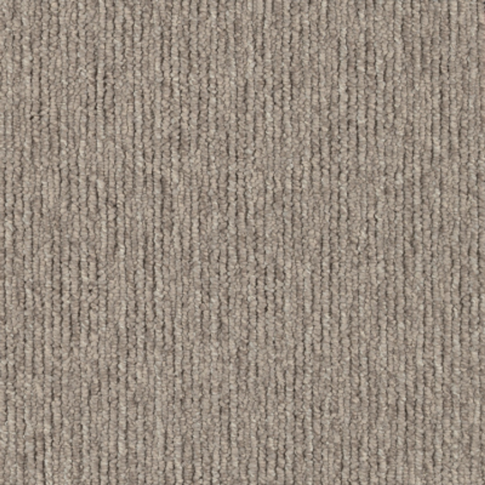 Sandune gallery detail image