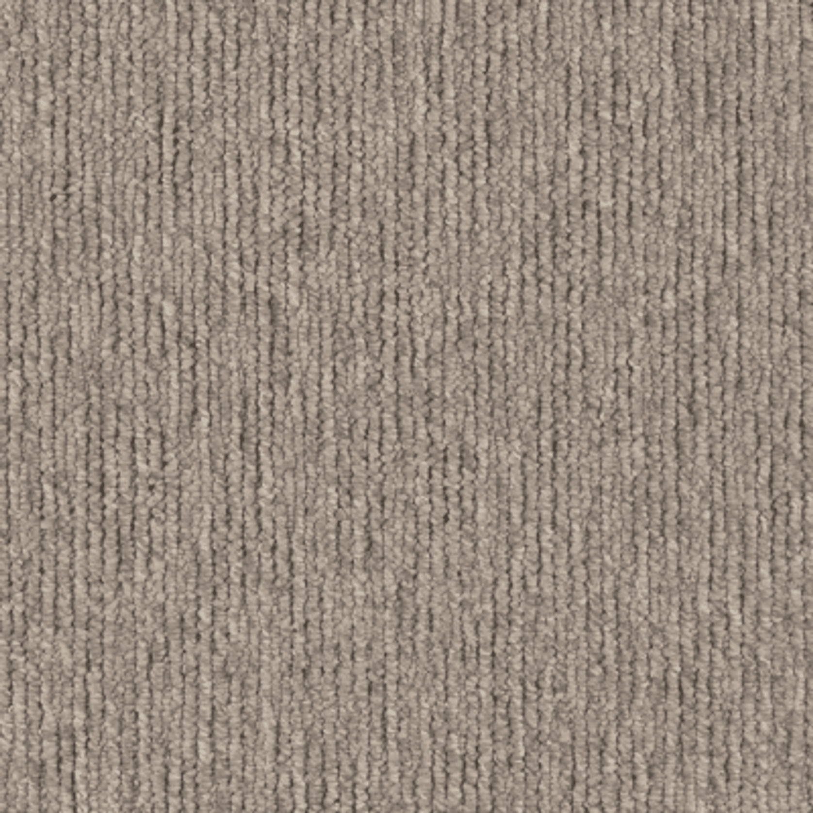 Sandune gallery detail image