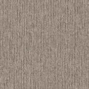 Sandune gallery detail image