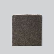 Ecodure Solution Dyed Nylon Carpet | Soft Flooring gallery detail image