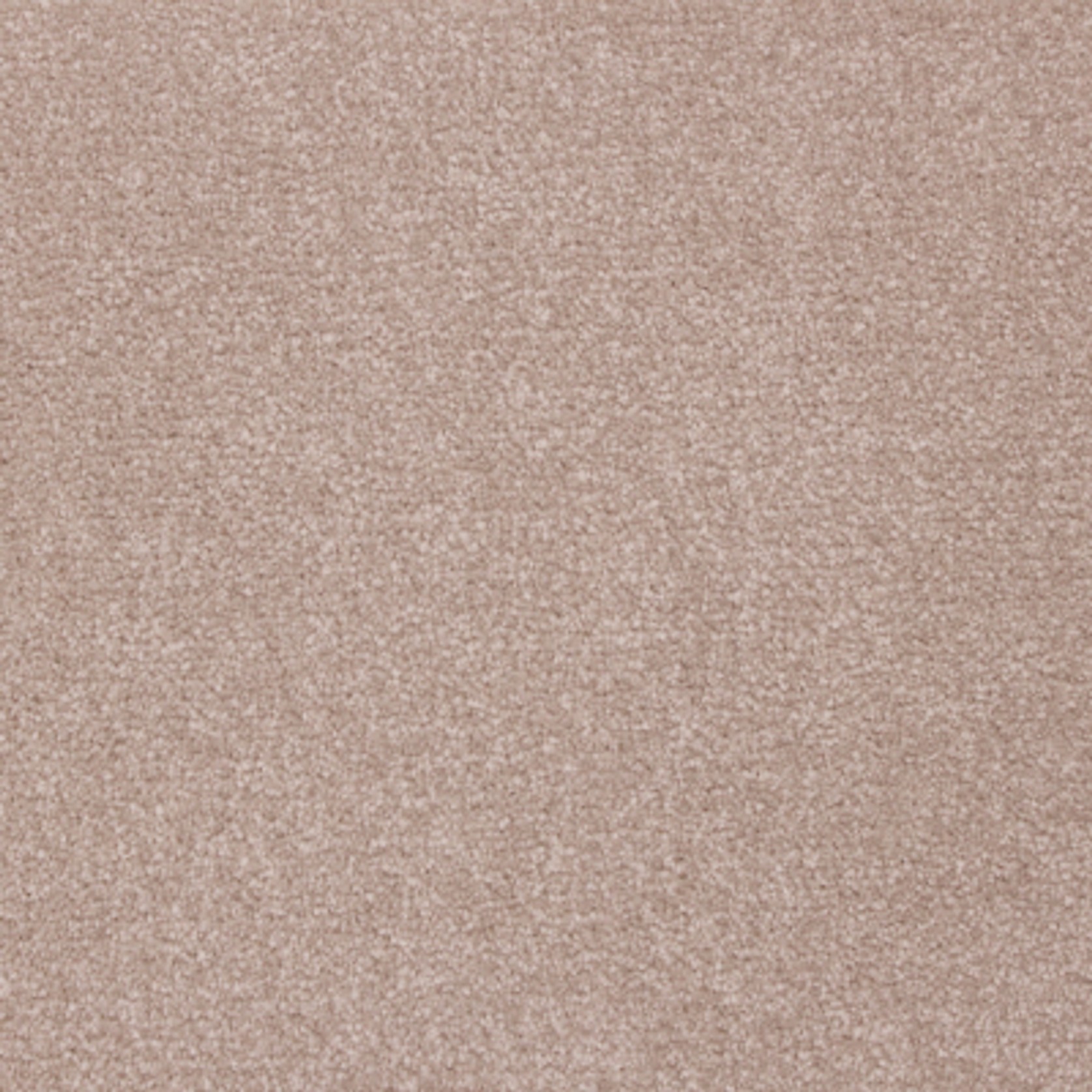 Divino gallery detail image