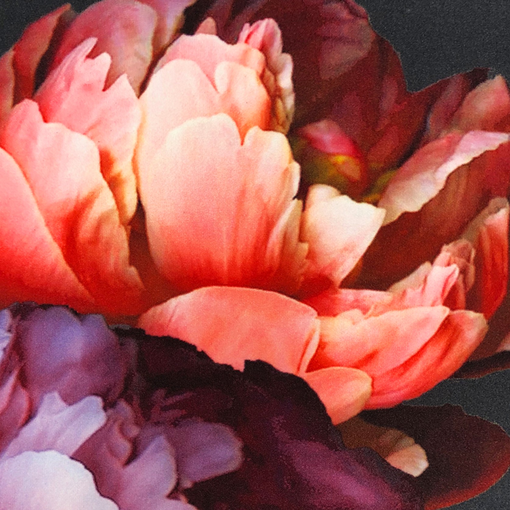 IKON gallery detail image