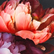 IKON gallery detail image