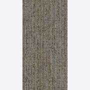 Light Catcher Carpet Collection by Bentley Mills gallery detail image