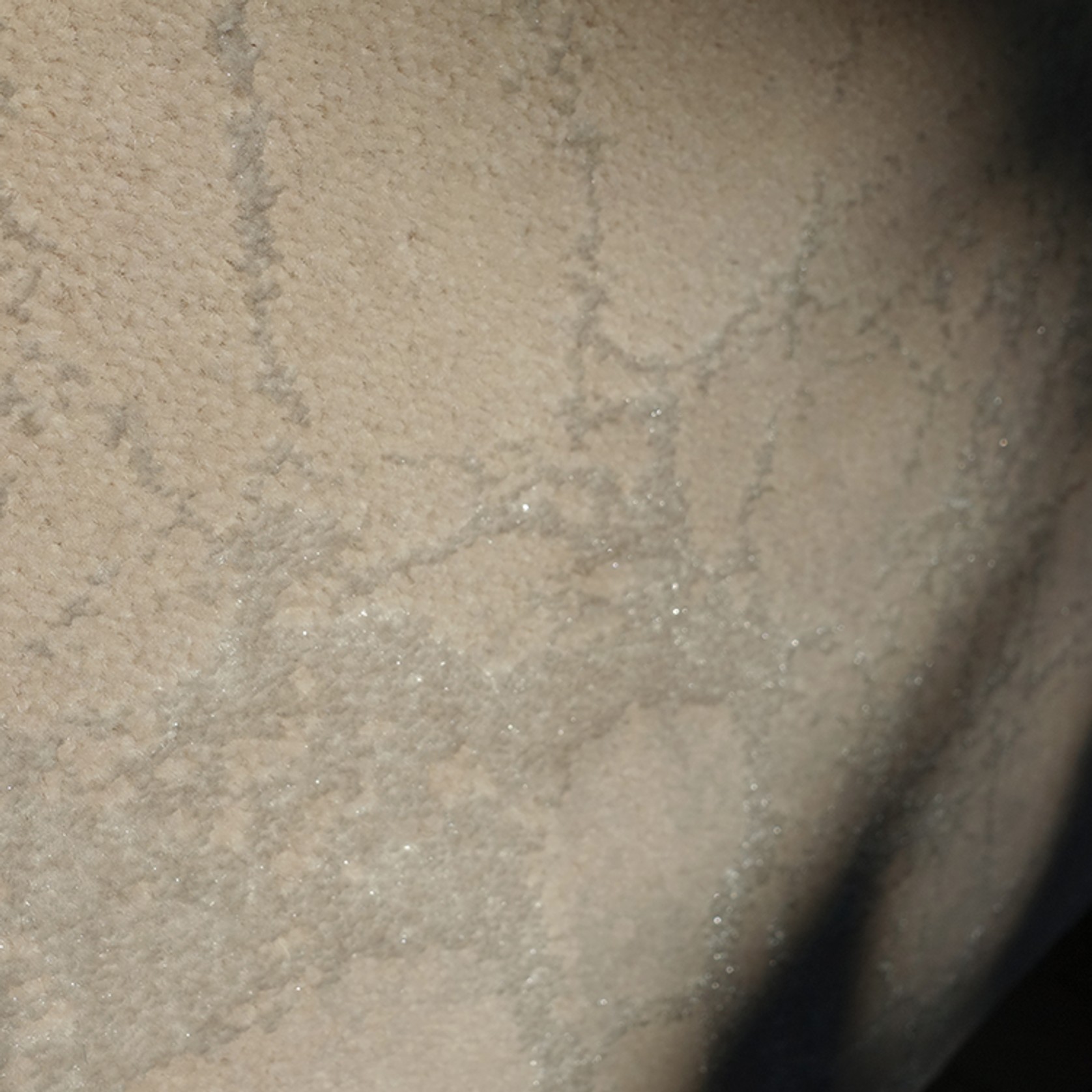 Fransisco gallery detail image