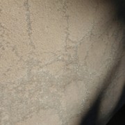 Fransisco gallery detail image