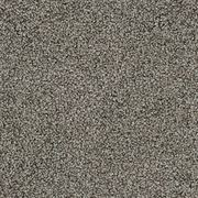 Hilton | Premium SDN gallery detail image