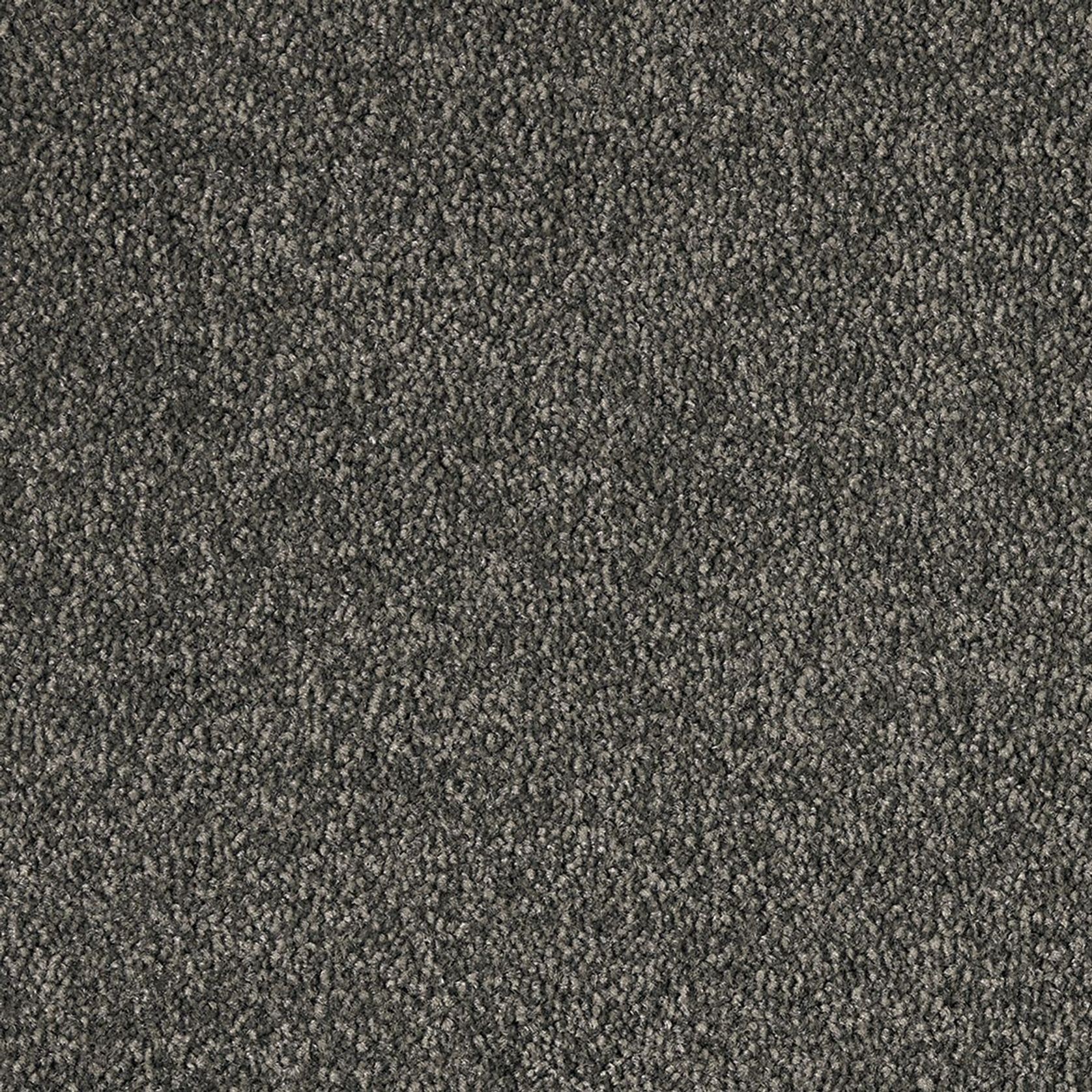Hilton | Premium SDN gallery detail image