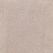 Jaspur gallery detail image