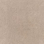 Jaspur gallery detail image